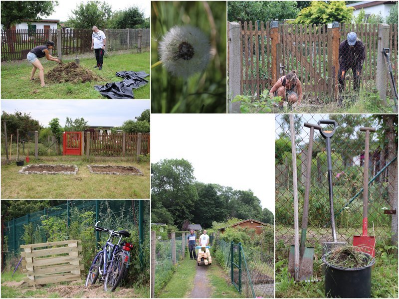Gemeinschaftsgarten-Einigkeit1.jpg