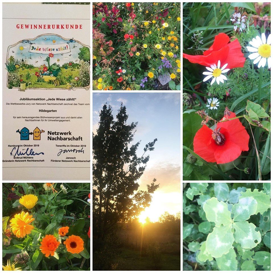 HIldegarten-Janosch.jpg