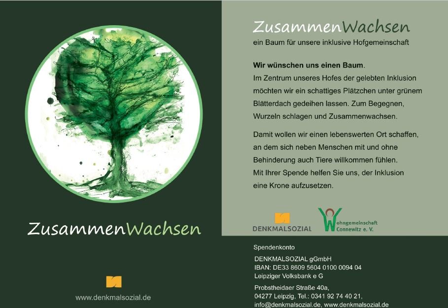 BaumWeb.jpg