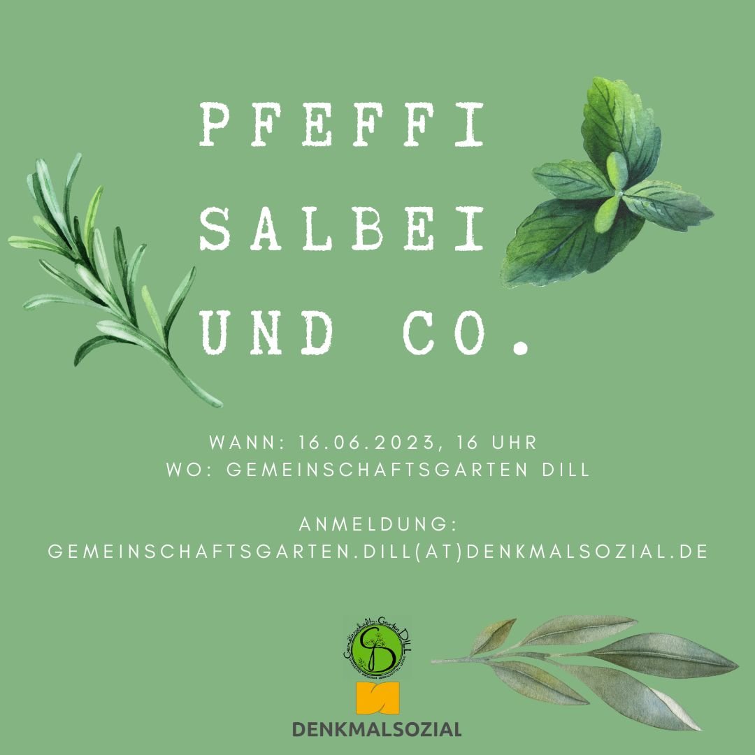 Pfeffi-Salbei-und-Co..jpg