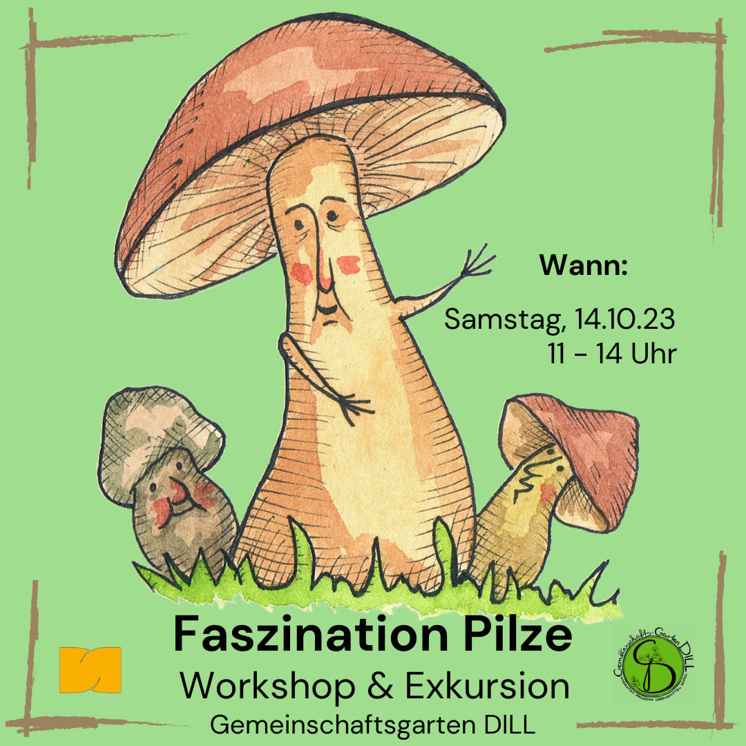Pilzworkshop.jpg